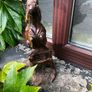 Wooden horse Image 3