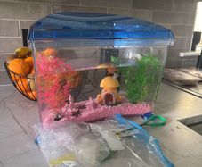 fish tank