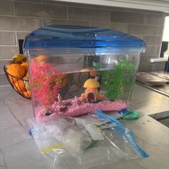 fish tank