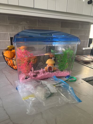fish tank