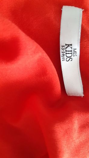 Marks and Spencer's Dragonfly Dress