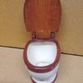 Vintage ( Goodbye Cruel World ) Ceramic Toilet with Wooden Lid Image 4