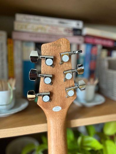Stagg SA25 D Mahogany Dreadnought Acoustic Guitar + Gig Bag
