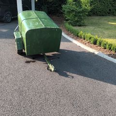 Dog trailer