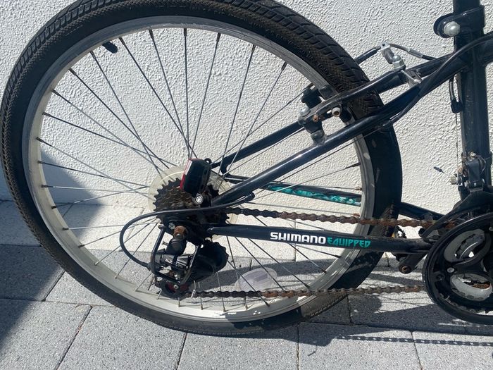 Apollo Vortice childs bike