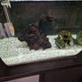 fluval flex fish tank 34L Image 2