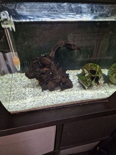 fluval flex fish tank 34L