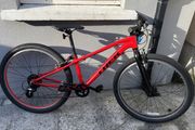 Trek Road Bike 26 inch teens