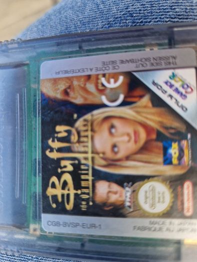 Buffy tge vampire slayer