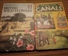 Vintage Lady Bird Books