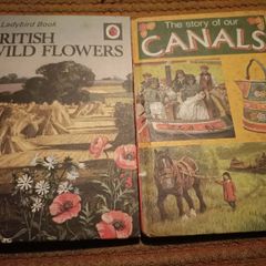 Vintage Lady Bird Books