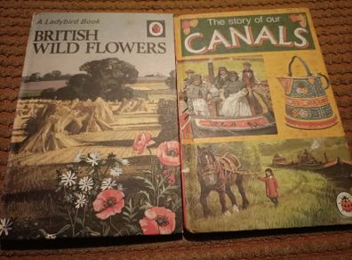 Vintage Lady Bird Books
