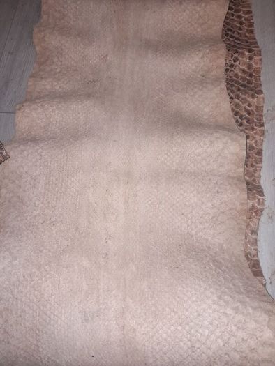 Genuine python hide 4m long