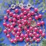 Gifts for all occasions Image 3