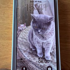 iPhone 17 256GB, EU model