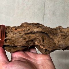 Aquarium Driftwood Size Mini