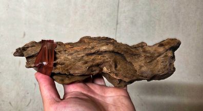 Aquarium Driftwood Size Mini