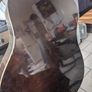 Lovly richwood acoustic guitar Image 5