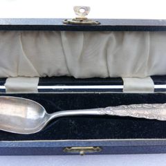 Vintage silver-plated  1847 Rogers Bros in Vintage Case