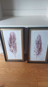 Framed Leaf Prints
