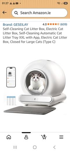 cat