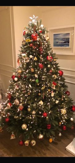 christmas tree