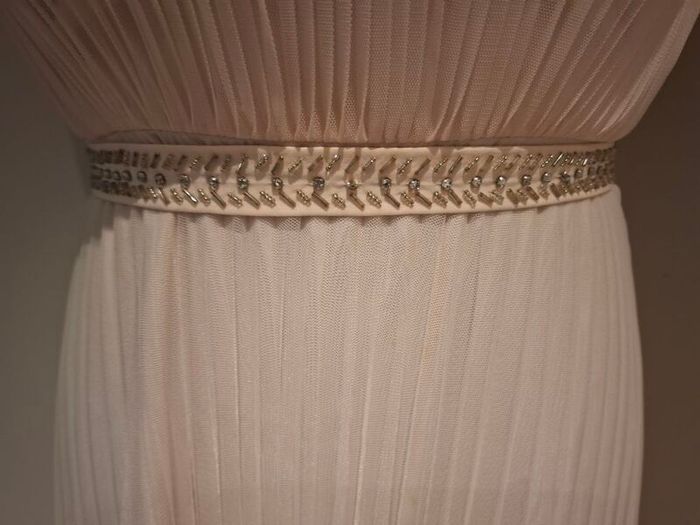 Coast Blush Gown Size 12