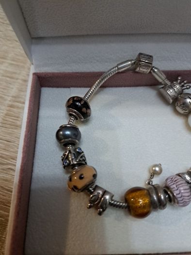 Pandora Bracelets (2)