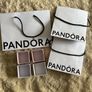 Pandora Packaging Image 2