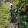 Vintage Fixed Gear Bike (repairs required) Image 3