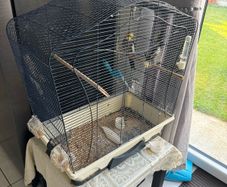 Cockatiel cage