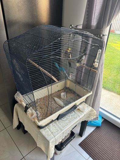 Cockatiel cage