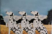 Animal Logic - Animal Logic Vinyl LP (1989) Original UK PROMO Pressing Alternative Rock Stanley Clarke Stewart Copeland EX+