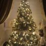 Christmas tree Image 4