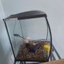 fish tank Image 4