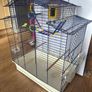 Parrot cage for sale great condition Image 2