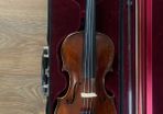 Violin