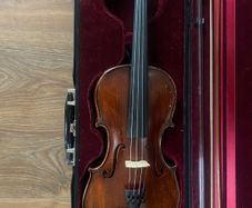 Violin
