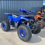 125cc petrol quads Image 5