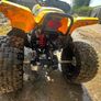 Quad Image 3