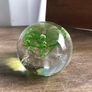 Limited Edition Caithness Vortex Glass Paperweight 1975 Image 2