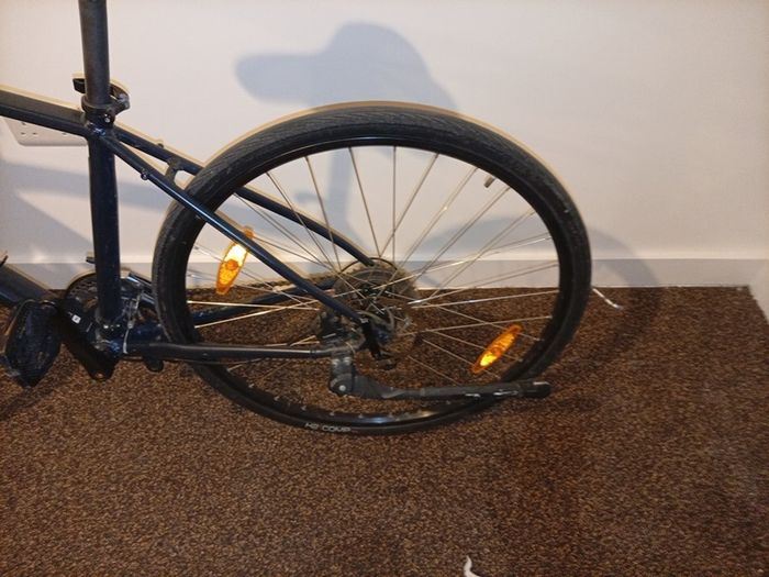 giant double disk hydraulic brakes