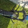 Boys Bike 10-12yrs Image 6