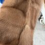 Vintage Mink fur coat Image 5
