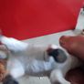 Lot Of 5 Cheaps Miniature Small Hard Plastic Farm Animals Toys. Image 7