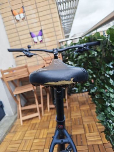 carrera bike