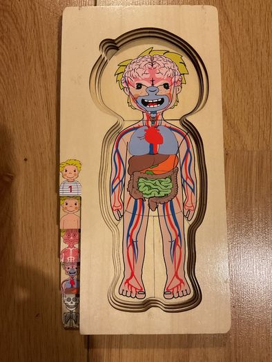The human body wooden puzzle