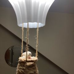 light