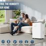 12L Per Day Dehumidifier for Home Digital Display Humidity Sensor 24H Timer Auto Shut Off Laundry Drying Image 9