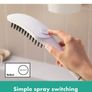 Hansgrohe Dog Shower Image 4